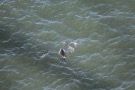 Missing Picture